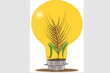 There are firms which are also offering end to end services across the agriculture value chain. For instance, WayCool takes a 'tech-enabled end-to-end supply chain approach' utilising robotic process automation, AI and ML.