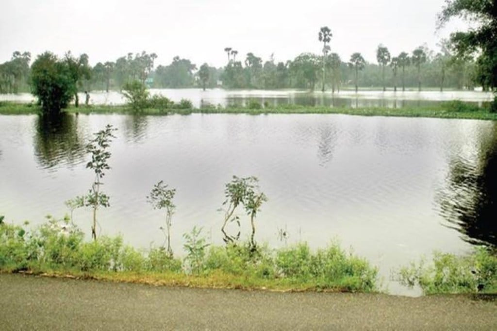 chilika lake bird visitors census report odisha chilika lake bird visitors census report odisha