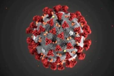 As for the controversy over the anal swab method, Cao noted that people are still developing their understanding of the virus. "It's unsure whether the defecated virus is still infectious," he said.
