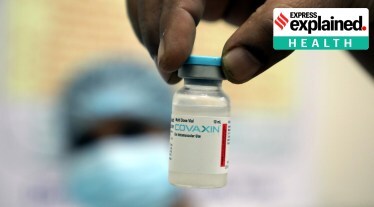 covaxin news