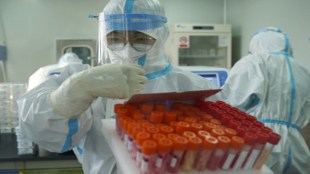 covid 19 cases in china, covid 19