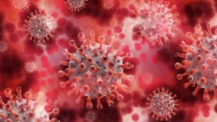 Covid-19 vaccine, Covid-19 india vaccine, Covid-19, COVID-19 vaccination programme, NITI Aayog, Christian Medical College, Gagandeep Kang
