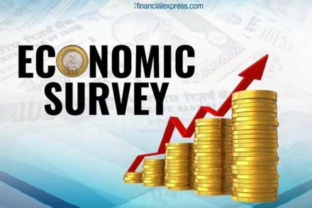 Economists reaction on Eco Survey Economists reaction on Eco Survey