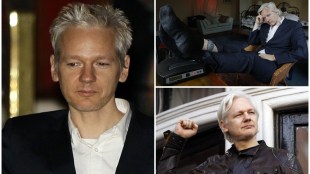 Julian Assange, who is Julian Assange, WikiLeaks, WikiLeaks, Wiki Leaks, extradition, extradition meaning, inoculation meaning, Julian Assange meaning