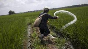 The subsidy can be restricted only to farmers having less than two hectares.