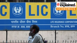 Up to 10 pc of LIC IPO issue size to be reserved for policyholders: MoS Finance