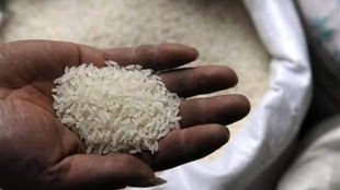 non basmati rice