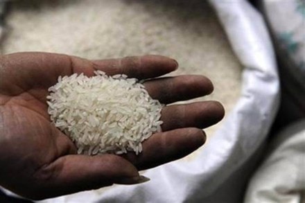 non basmati rice