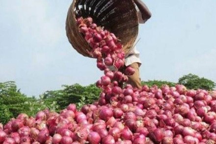Onion prices