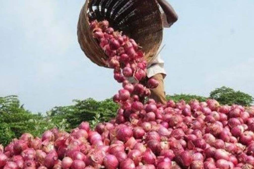 Onion prices