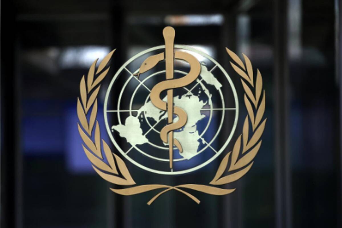 China stifled independent reports about the outbreak and has published little information on its search for the origins of the virus.m56 China stifled independent reports about the outbreak and has published little information on its search for the origins of the virus.m56