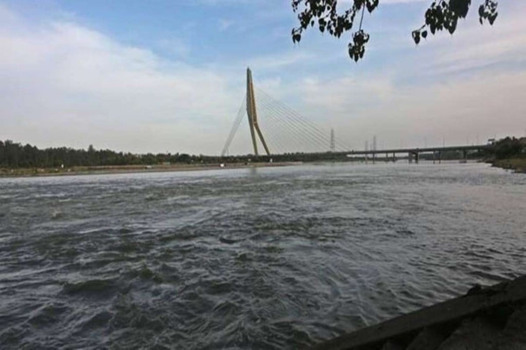 yamuna cleaning NGT panel report