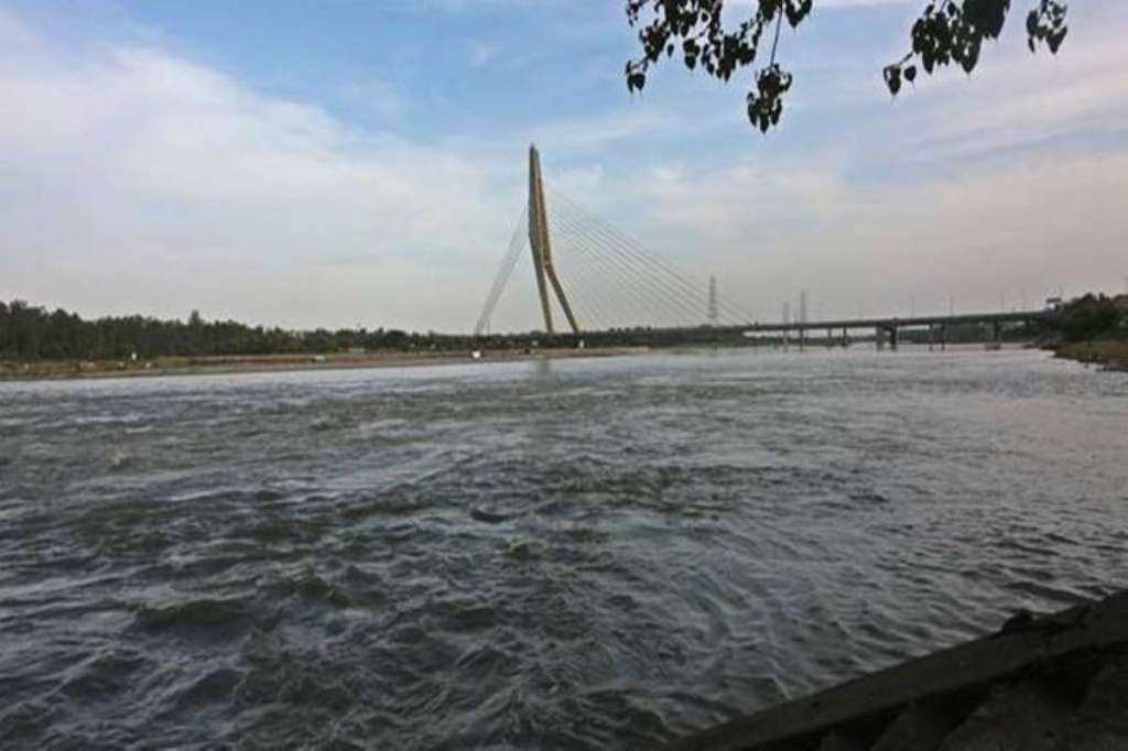 yamuna cleaning NGT panel report