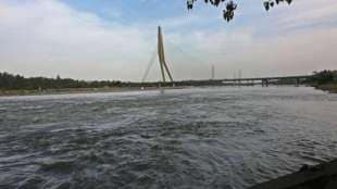 yamuna cleaning NGT panel report