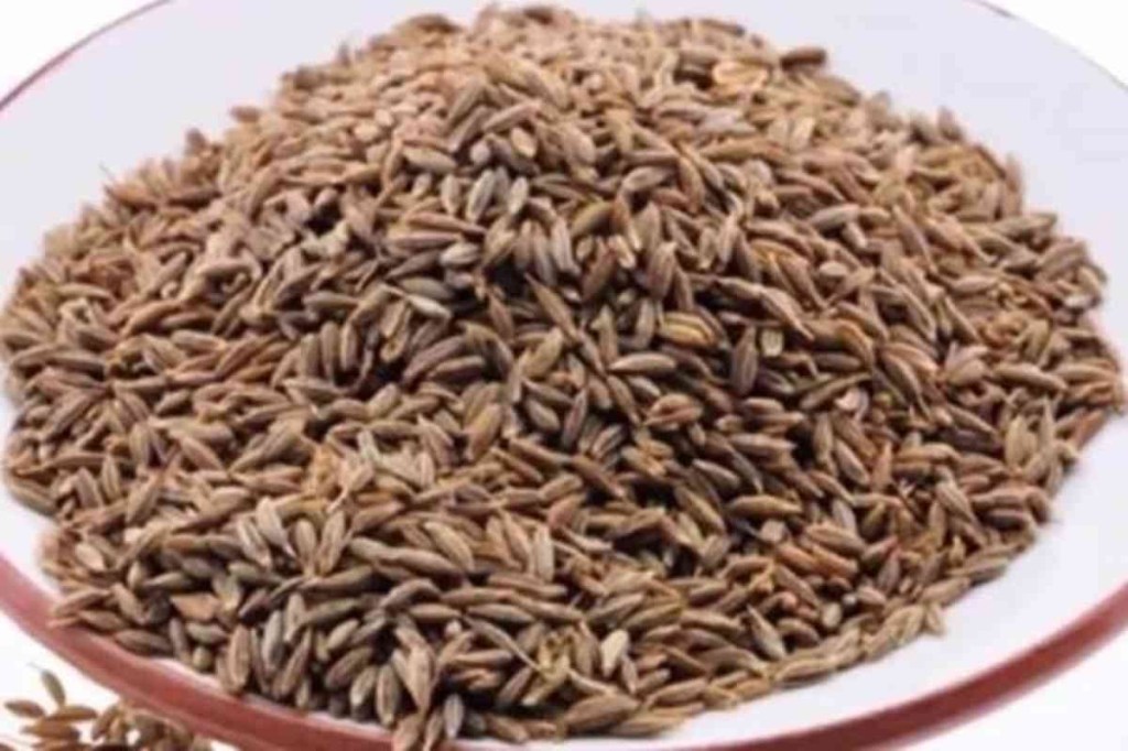 More than 90% of India’s cumin crop is harvested in Gujarat and Rajasthan. Cumin yield from both states generally arrives at the Unjha Agriculture Produce Market Committee (APMC), one of the biggest agriculture markets in Asia.