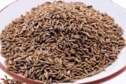 More than 90% of India’s cumin crop is harvested in Gujarat and Rajasthan. Cumin yield from both states generally arrives at the Unjha Agriculture Produce Market Committee (APMC), one of the biggest agriculture markets in Asia.