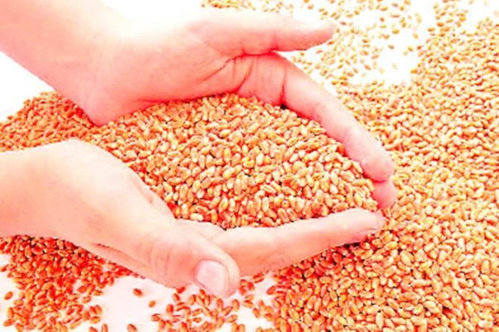 The Commission for Agricultural Costs and Prices (CACP), in its rabi 2020 report, had recommended that the open-ended procurement system be reviewed.