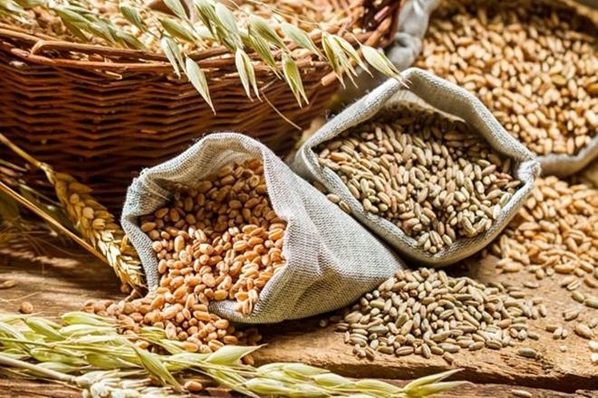 Food grains output in 2020-21 pegged at 303 MT - Commodities News | The ...