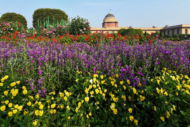 Mughal Gardens, Mughal Garden delhi, Mughal Garden opening date, Mughal Garden 2021, Mughal Garden ticket price, Mughal Gardens timing