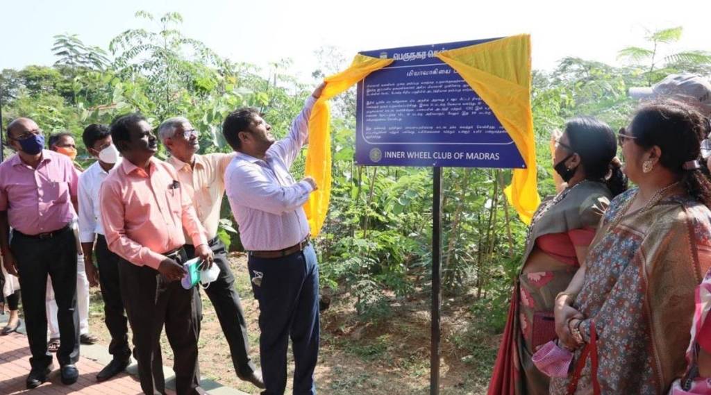 On February 1, the municipal corporation of Chennai celebrated the first anniversary of Miywaki forest in Kotturpuram. Image: IE