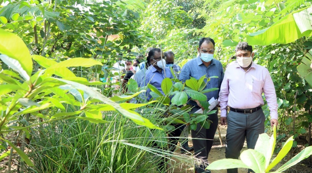 The changing of these locations into green cover improves biodiversity. Image: IE