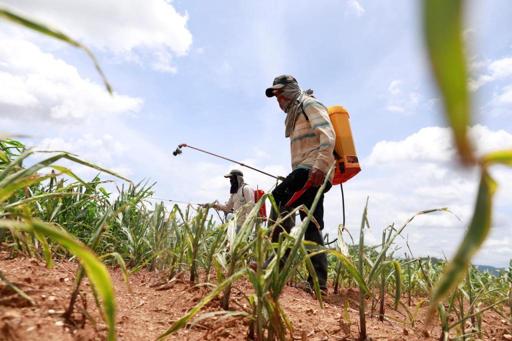 India Pesticides, India Pesticides IPO, initial public offer