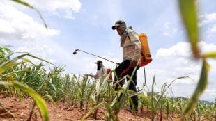 India Pesticides, India Pesticides IPO, initial public offer