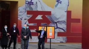 who team probing coronavirus china