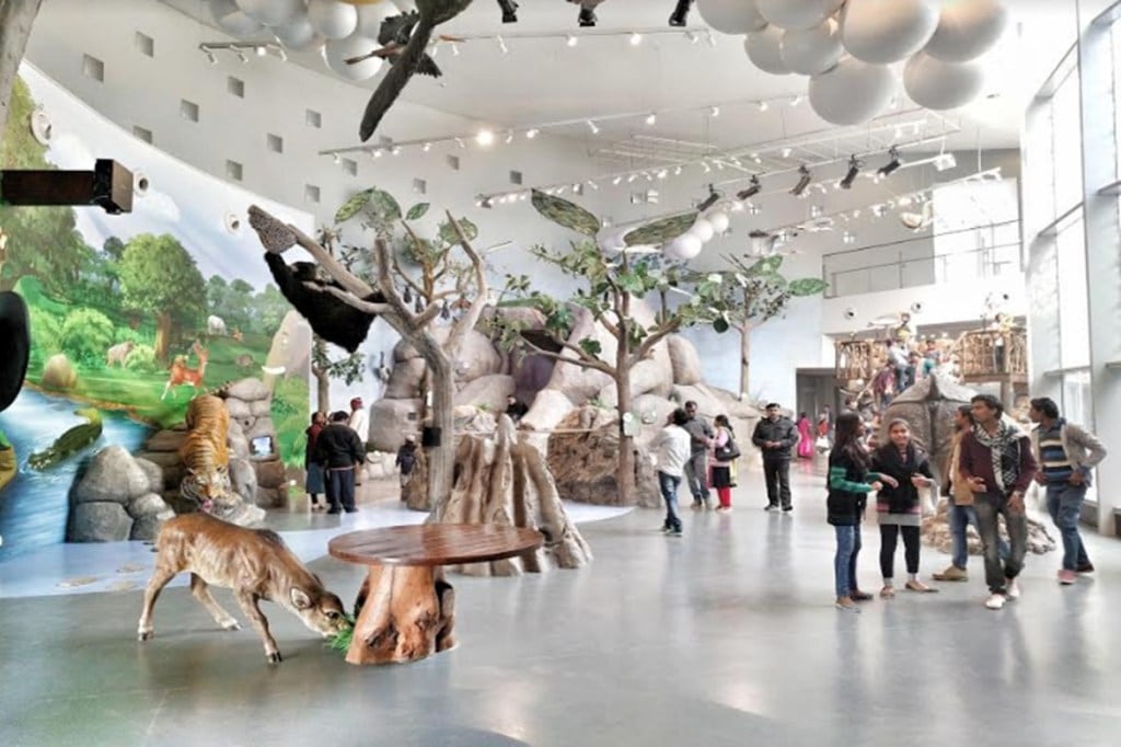 bihar museums bihar museums