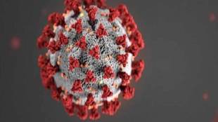 UK coronavirus