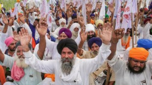 The protesting farmers are not pampered defenders of supernormal profits—they know that they are on the edge of disaster, with or without the marketing reforms: those have just brought them mentally closer to that edge.