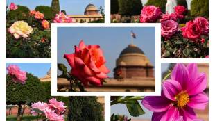 Mughal Gardens, Mughal Garden delhi, Mughal Garden opening date, Mughal Garden 2021, Mughal Garden ticket price, Mughal Gardens timing