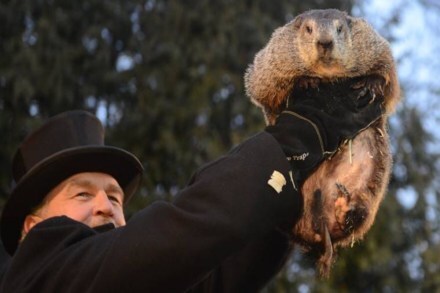 Groundhogs Day