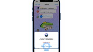 WhatsApp, Telegram