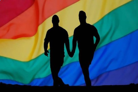 India can follow the example of countries like France and England, where equal partner rights were granted to same-sex couples, before legalising same-sex marriage. (Representative image) India can follow the example of countries like France and England, where equal partner rights were granted to same-sex couples, before legalising same-sex marriage. (Representative image)