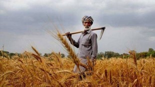 It has already collated data of 4.3 crore farmers linked with land records.