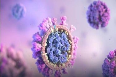 The antibodies target a region of the spike protein of the virus called N-terminal domain (NTD) and effectively check the spread of the virus.