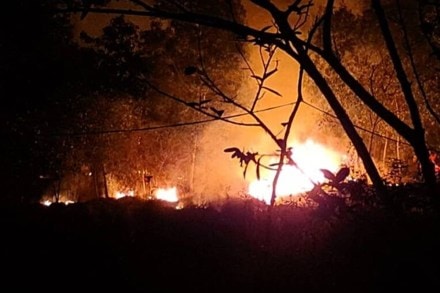 However, this year’s fire is singular in the sense that there has been an early onset of summer and a prolonged dry spell, creating the conditions for the fire to spread quickly.