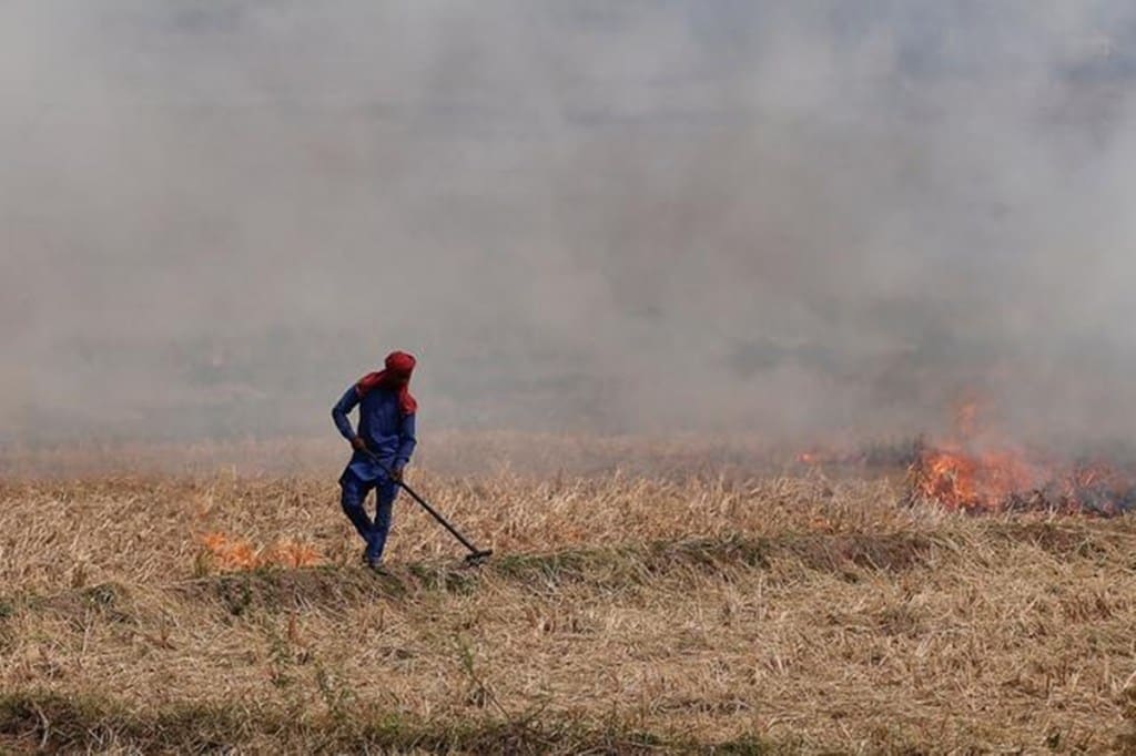 The impact of crop burning on public health has been well documented. (File image)