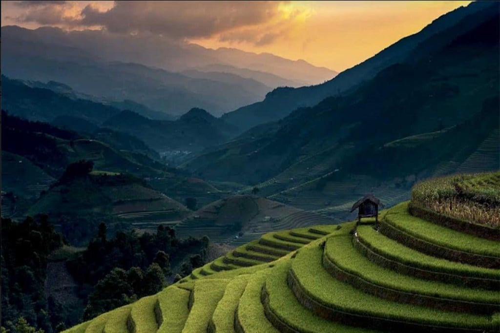 IndiaInMedan