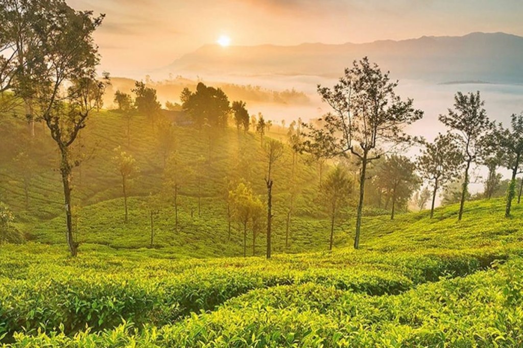 Ooty, Nilgiris Covid-19