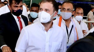 Rahul Gandhi 2014 polls india bjp