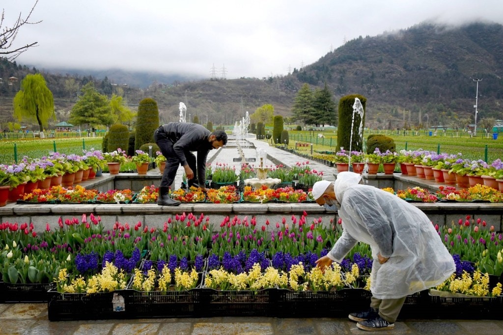 Tulip Garden all set to reopen in Srinagar