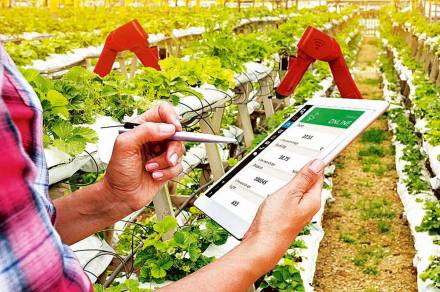 Cisco Agri Challenge is an initiative aimed at mobilising agri-tech startups to innovate solutions that have the potential to positively impact at least 10 million lives. (Representational image) Cisco Agri Challenge is an initiative aimed at mobilising agri-tech startups to innovate solutions that have the potential to positively impact at least 10 million lives. (Representational image)