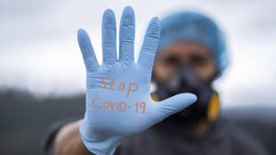 coronavirus