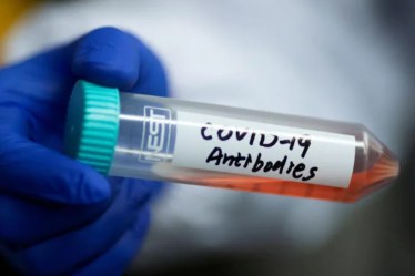 coronavirus, coronavirus update, coronavirus in India, coronavirus test, coronavirus antibodies test, covid update, covid test update