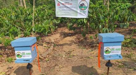 In this process, the officials are currently placing boxes with bees in four locations near Chelur village, Kodagu, where some man-elephant conflicts have been seen in the past. Image: IE