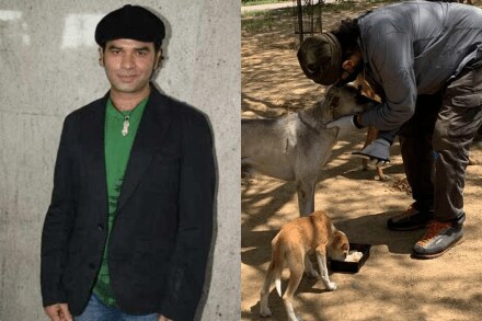 mohit chauhan, feeding stray days, singer song writer mohit chauhan feeding stray dogs in lockdown, Prarthna Gahilote, 65 days of unconditional furry love