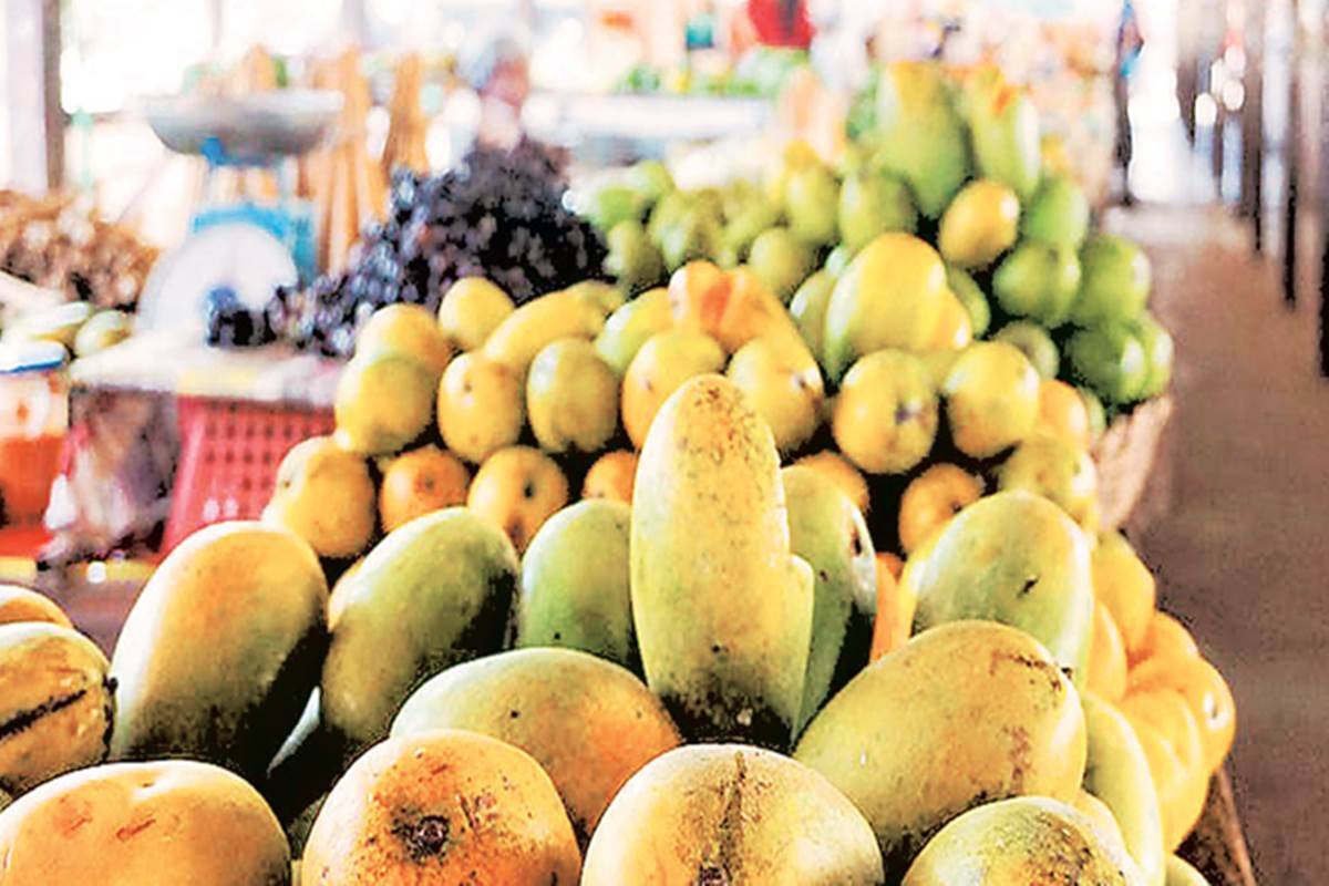 In case of tomato, the production is pegged slightly lower to 20.14 million tonne this year from 21.17 million tonne last year. In case of tomato, the production is pegged slightly lower to 20.14 million tonne this year from 21.17 million tonne last year.
