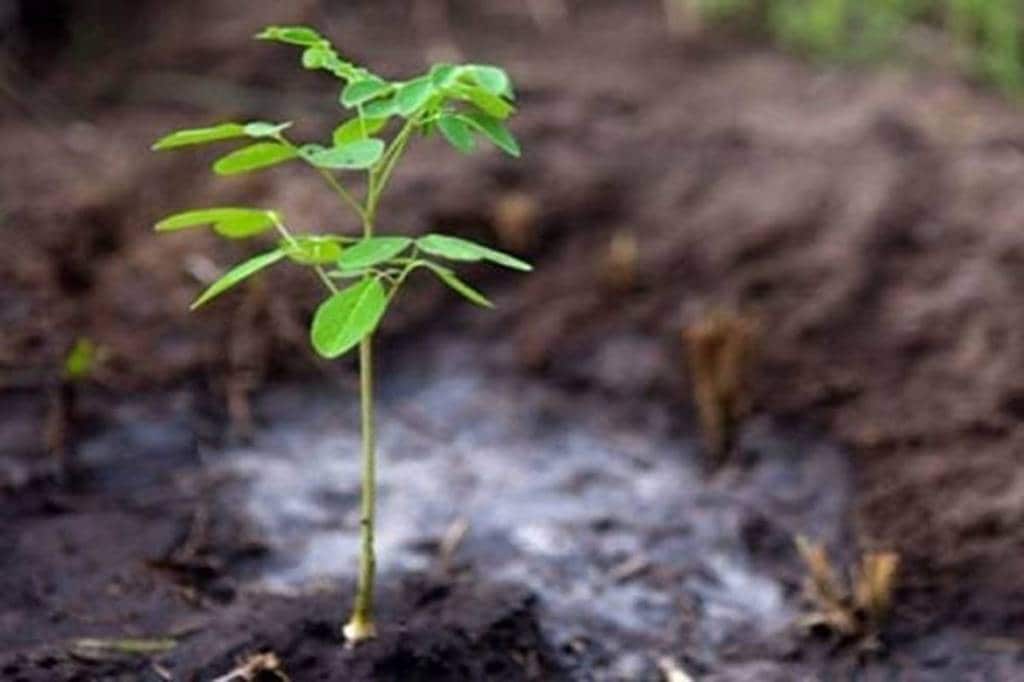 The various co-benefits that accompany climate action link the missions and mandates of several ministries.